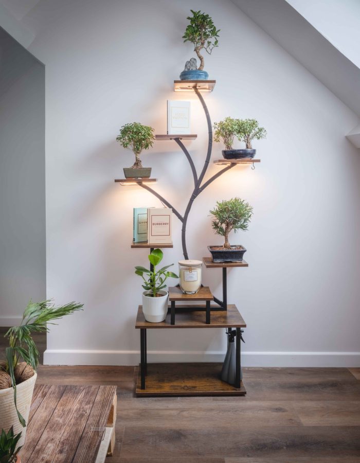 27022026-DSCF5845-HDR – Copie – Copie